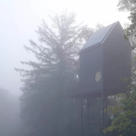 Holiday home Buitenverblijf Nest *
