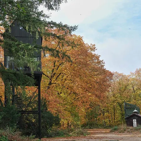 Buitenverblijf Nest Vakantiehuis