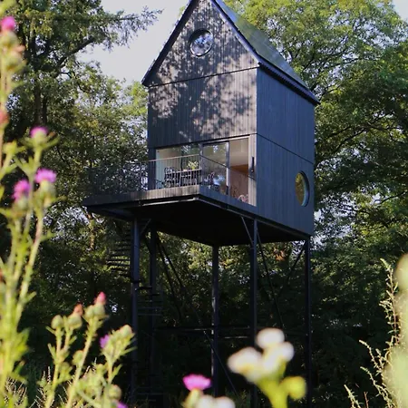 Buitenverblijf Nest Holiday home