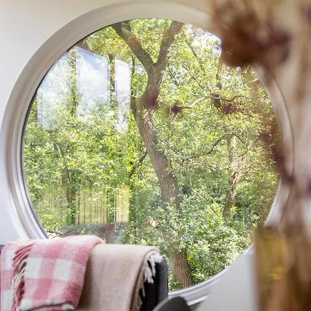 Buitenverblijf Nest Holiday home *