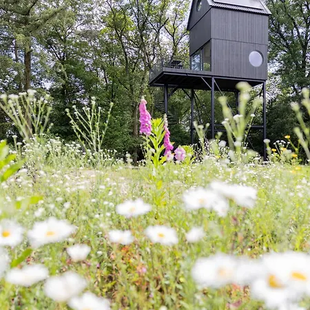 Buitenverblijf Nest Holiday home Arnhem
