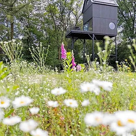 Buitenverblijf Nest Arnhem
