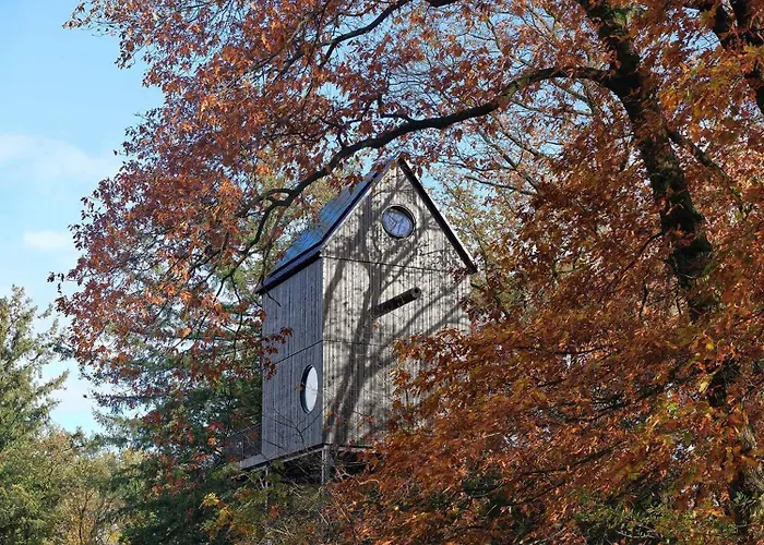 Vakantiehuis Buitenverblijf Nest *