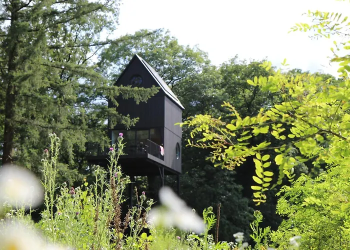 Buitenverblijf Nest * Arnhem