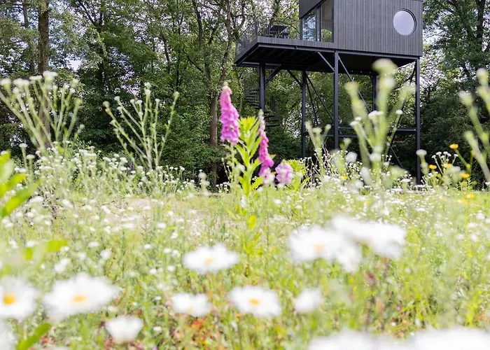 Buitenverblijf Nest Vakantiehuis Arnhem